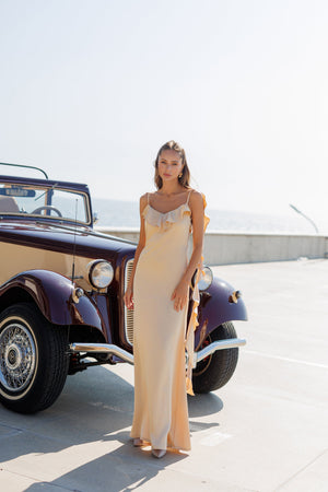 Evelin’s Dress