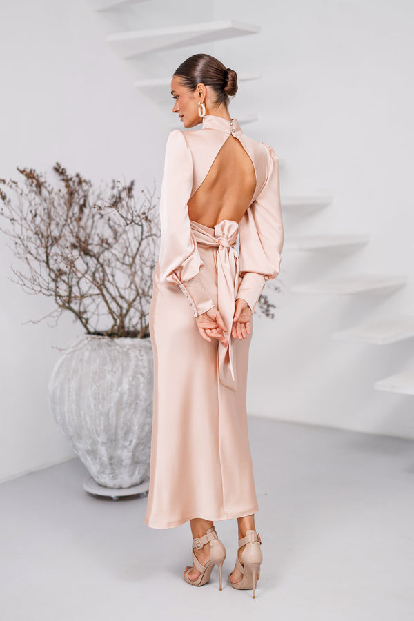 Belvessa Dress